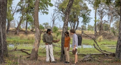 Duba Explorers Camp Luxury Family Safaris Botswana