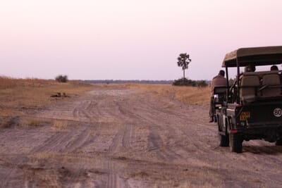Camp Kuzuma Luxury Family Safari Botswana