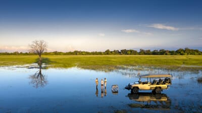 Khwai Lediba Luxury Family Safaris Botswana