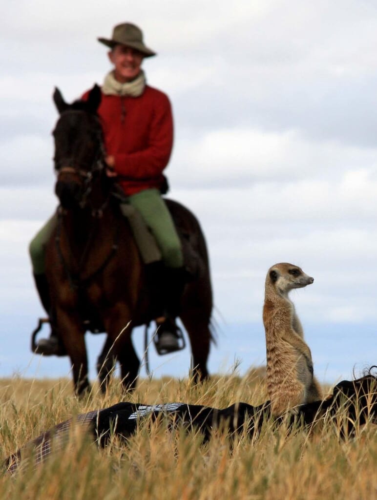 meerkat_2-1-1.jpg?w=772&h=1024&scale