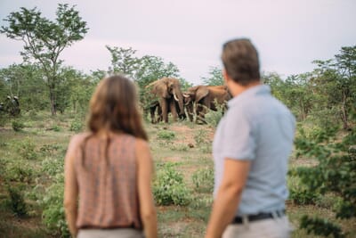 Elephant Camp Luxury Family Safaris Zimbabwe