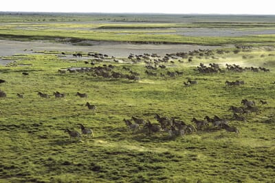 Jack's Camp Luxury Family Safaris Botswana
