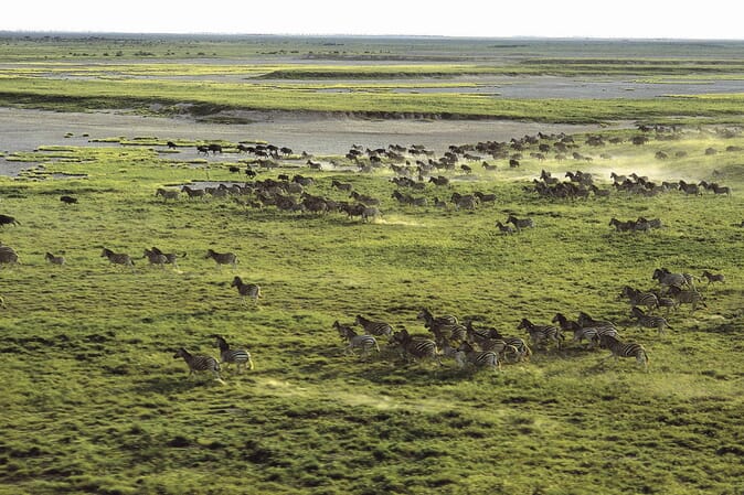 Jack's Camp Luxury Family Safaris Botswana