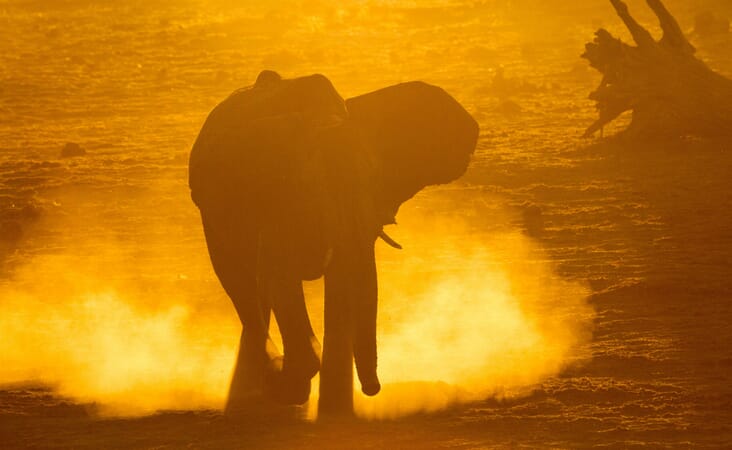 Savute Safari Lodge Luxury Family Safaris Botswana