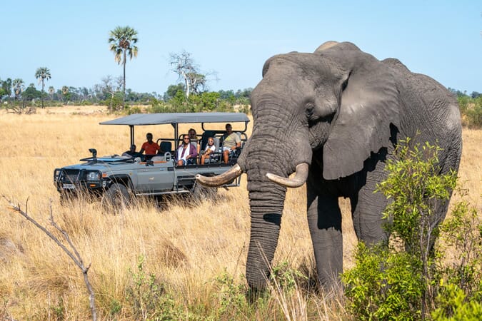 Seba Camp Botswana Luxury Family Safaris