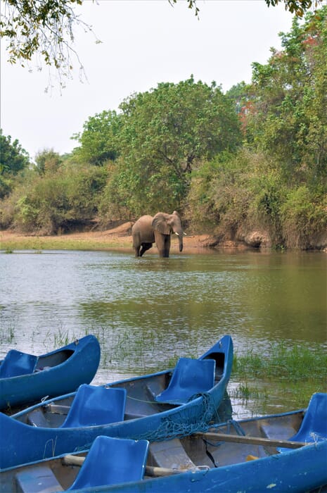 Victoria Falls Luxury Family Safaris Zimbabwe