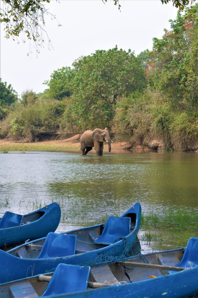 Victoria Falls Luxury Family Safaris Zimbabwe