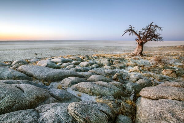 Kalahari and Makgadikgadi Luxury Family Holidays Botswana