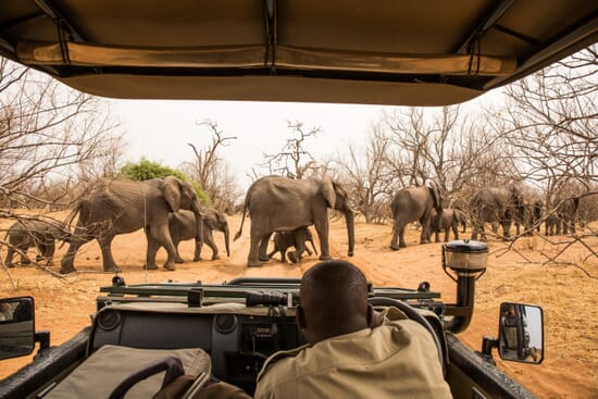 Chobe National Park Luxury Family Safari Botswana