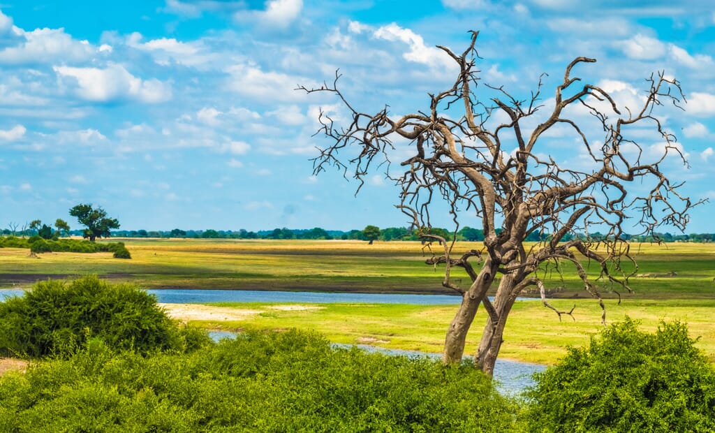 Chobe National Park Luxury Family Safari Botswana
