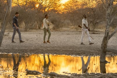 Dinaka Luxury Family Safaris Botswana
