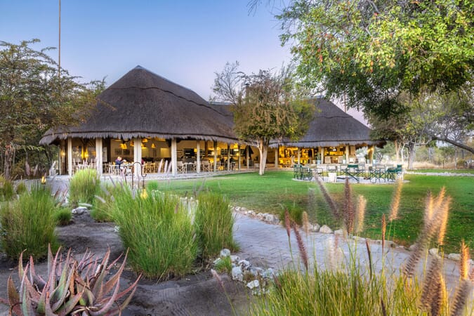 Mushara Bush Camp Etosha Namibia Luxury Family Safaris