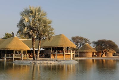 Onguma Bush Camp Etosha Namibia Luxury Family Safaris
