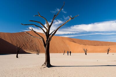 Kulala Desert Lodge Sossusvlei Namibia Luxury Family Safaris