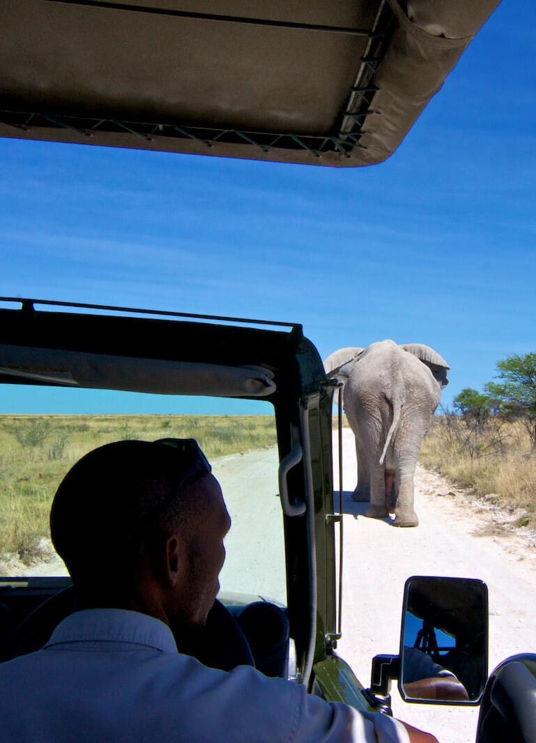 Mokuti Etosha Lodge Namibia Luxury Family Safaris