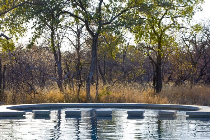 Mushara Bush Camp Etosha Namibia Luxury Family Safaris