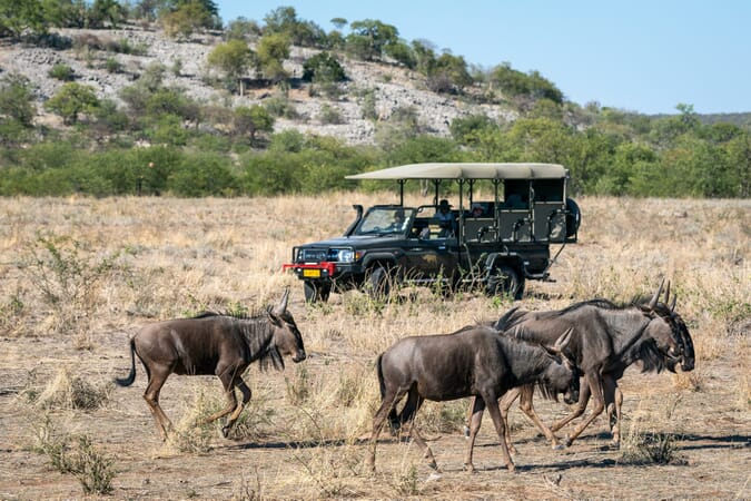 Ongava Lodge Etosha Namibia Luxury Family Safaris