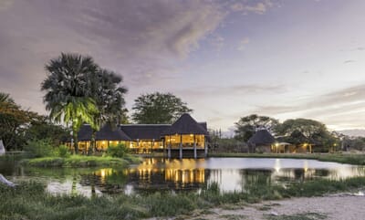 Onguma Bush Camp Etosha Namibia Luxury Family Safaris