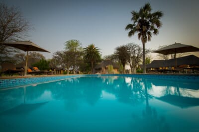 Onguma Bush Camp Etosha Namibia Luxury Family Safaris