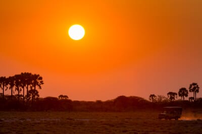 Onguma Bush Camp Etosha Namibia Luxury Family Safaris