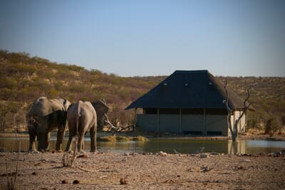 Safarihoek Lodge Etosha Namibia Luxury Family Safaris