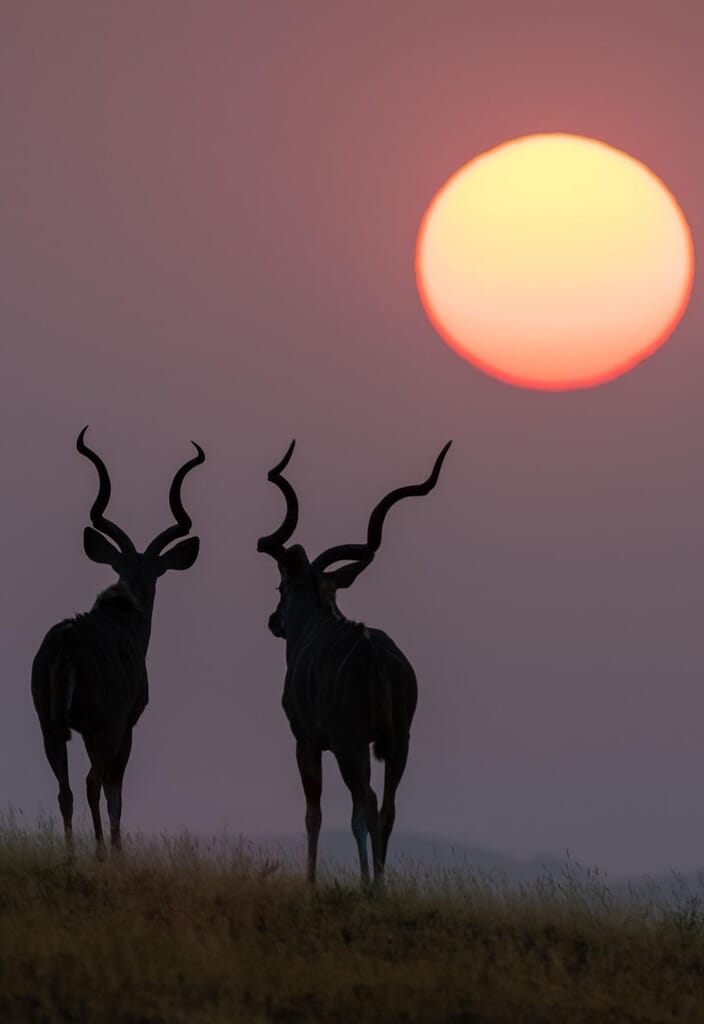 Damaraland Camp Damaraland Namibia Luxury Family Safaris