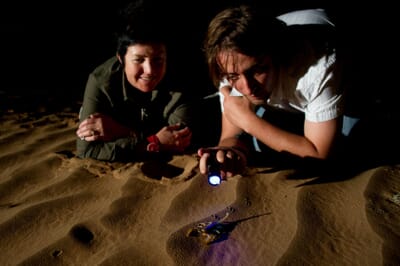 Kulala Desert Lodge Sossusvlei Namibia Luxury Family Safaris