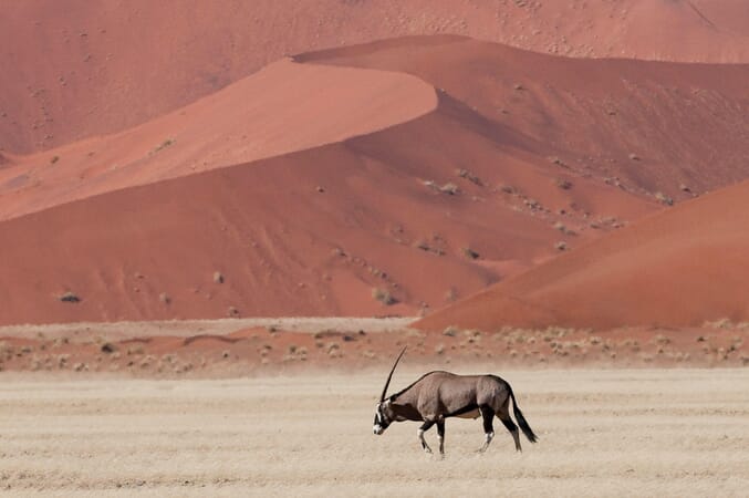 Kulala Desert Lodge Sossusvlei Namibia Luxury Family Safaris