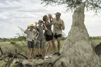 Onguma Bush Camp Etosha Namibia Luxury Family Safaris