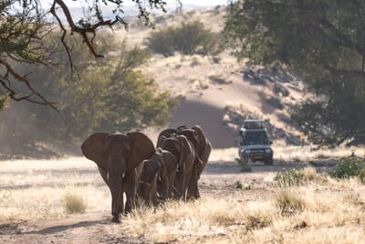 Damaraland Camp Damaraland Namibia Luxury Family Safaris