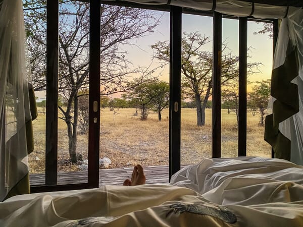 Etosha Oberland Lodge Namibia Luxury Family Safaris