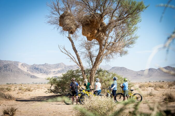 Kulala Desert Lodge Sossusvlei Namibia Luxury Family Safaris