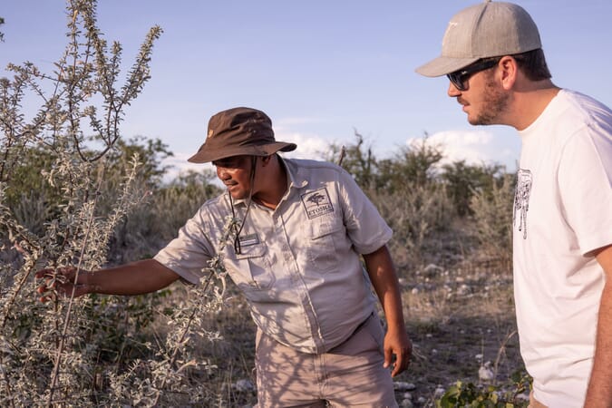 Etosha Oberland Lodge Namibia Luxury Family Safaris