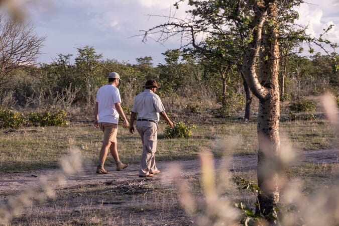 Etosha Oberland Lodge Namibia Luxury Family Safaris