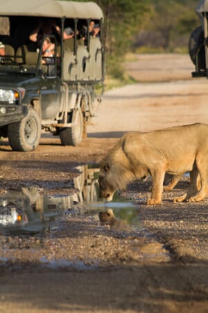 Ongava Lodge Etosha Namibia Luxury Family Safaris
