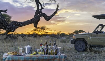 Onguma Bush Camp Etosha Namibia Luxury Family Safaris