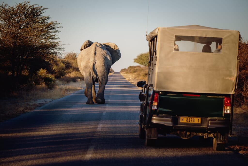 Etosha National Park Luxury Family Safaris Namibia