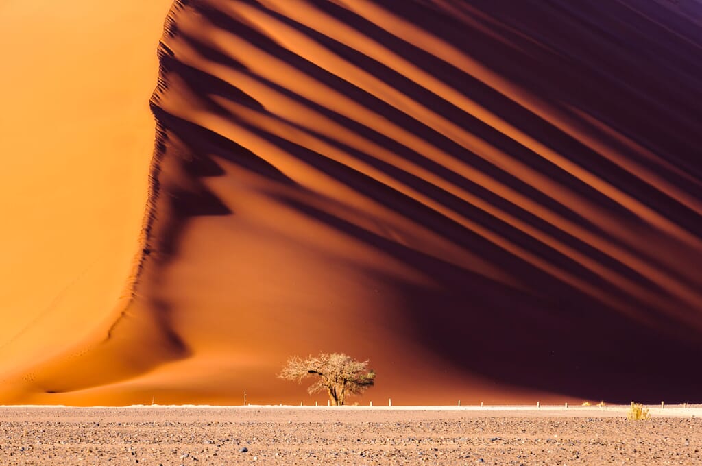 Sossusvlei Luxury Family Safaris Namibia