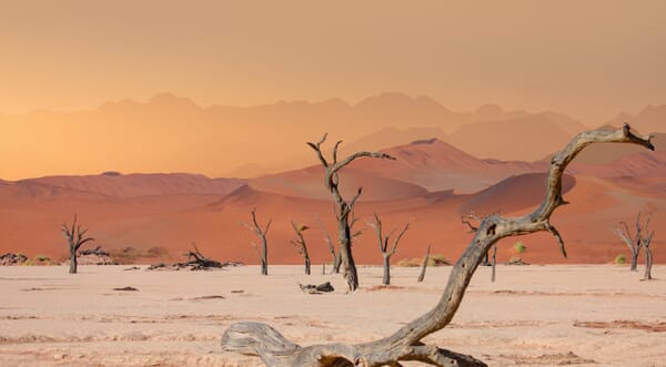 Sossusvlei Luxury Family Safaris Namibia