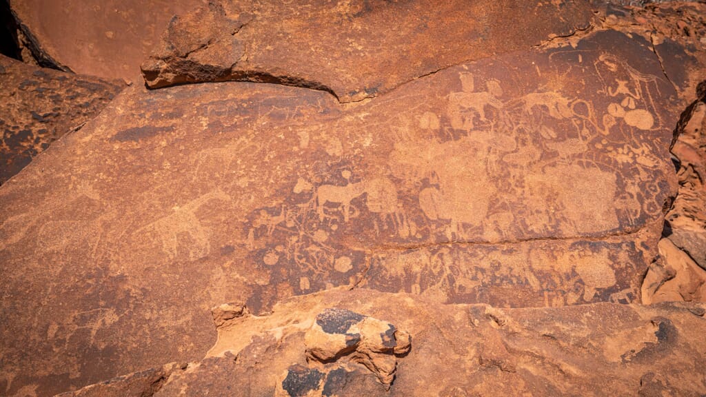 Damaraland Luxury Family Safaris