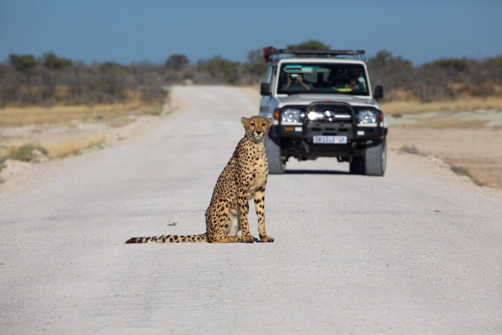 Etosha National Park Luxury Family Safaris Namibia