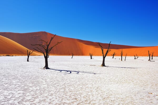 Sossusvlei Luxury Family Safaris Namibia