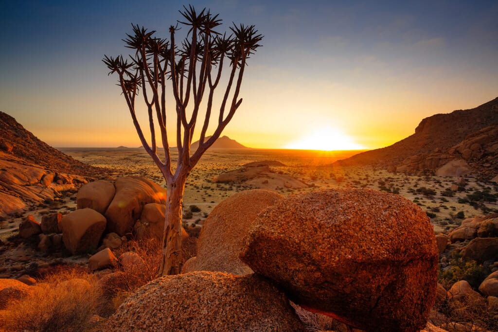 Damaraland Luxury Family Safaris