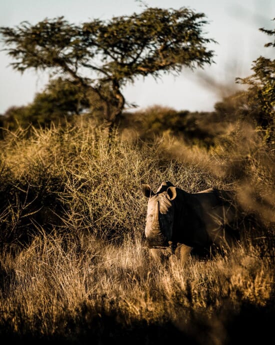 Omaanda Lodge Windhoek Namibia Luxury Family Safaris