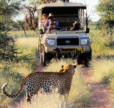 Okonjima Bush Suite Namibia Luxury Family Safaris