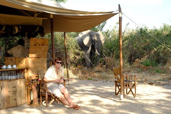 10383008_10153109881936549_5857499573556832602_n.jpg?w=600&h=400&scale