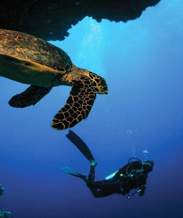 Oblu Select Sangeli Maldives Luxury Family Holidays