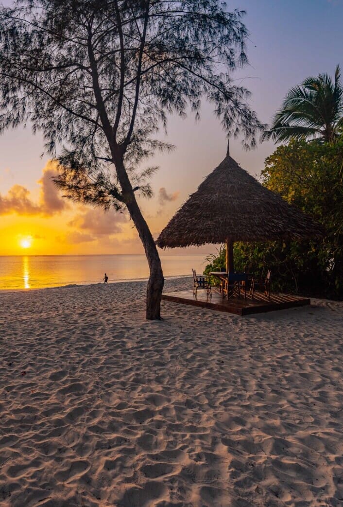 Pongwe Beach Club Zanzibar Luxury Family Safaris Tanzania Coral Tree Travel