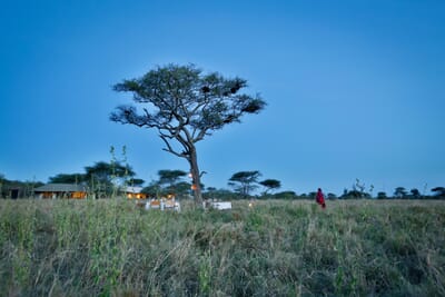 Lemala Ewanjan Serengeti Luxury Family Safaris Tanzania Coral Tree Travel