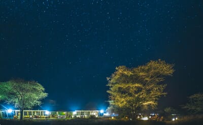 Lemala Ewanjan Serengeti Luxury Family Safaris Tanzania Coral Tree Travel